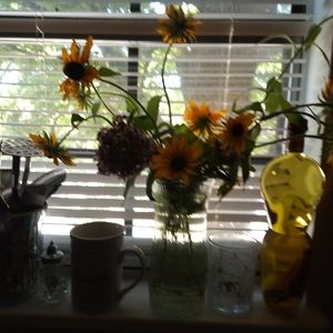 Meet your Posher, Janice